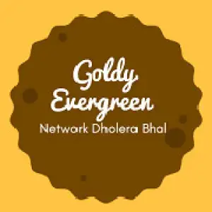 Goldy Evergreen