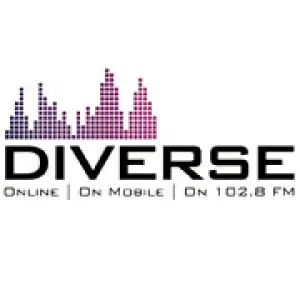 Diverse FM Radio