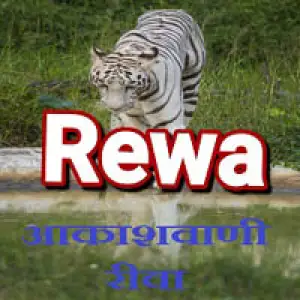 Akashvani Rewa 102.4 FM