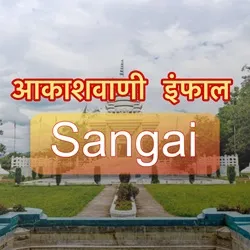 Akashvani Imphal Sangai